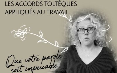 Les accords Toltèques appliqués au travail